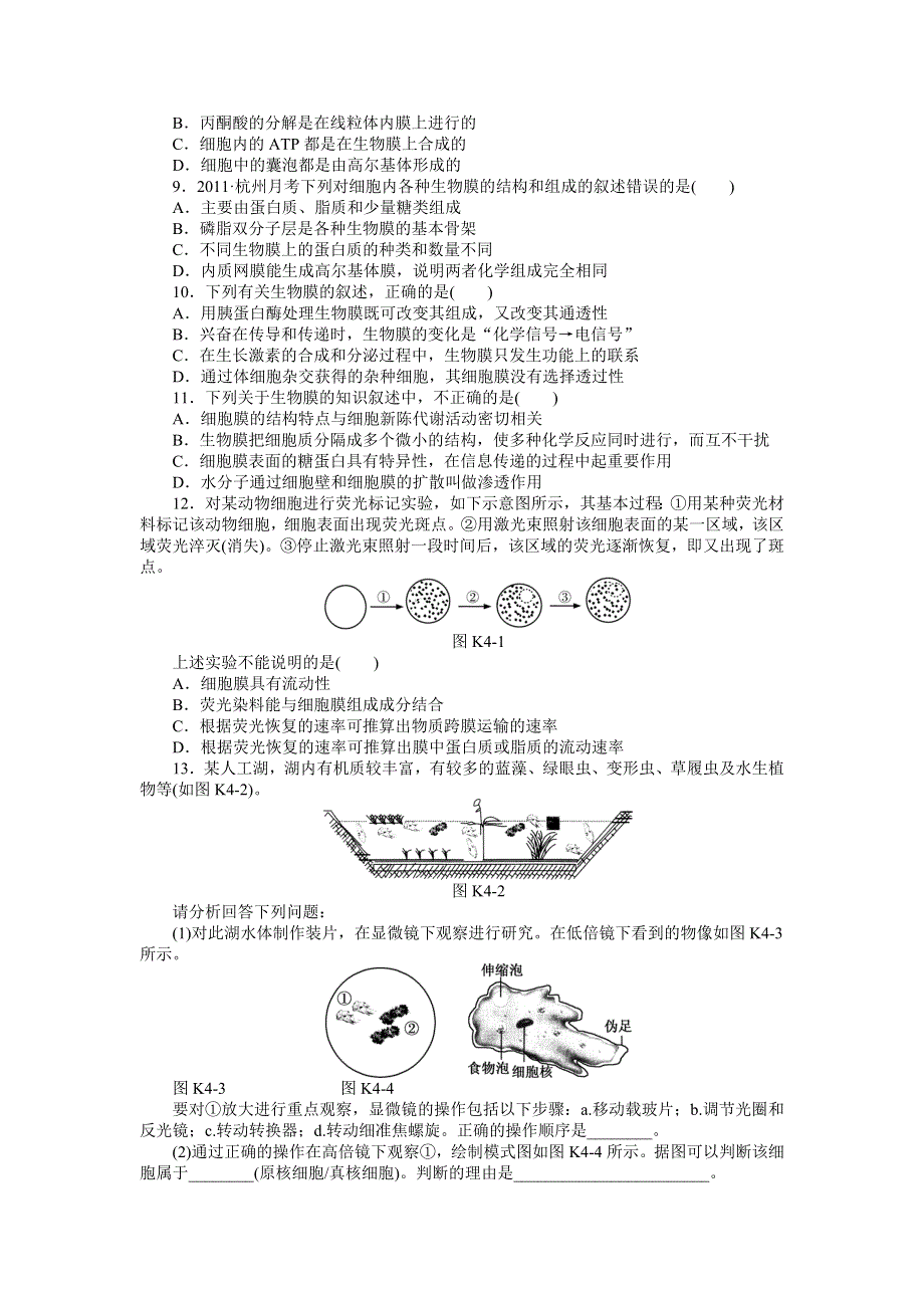 2013届高三浙科版生物一轮复习课时作业4 细胞概述 细胞膜和细胞壁.doc_第2页