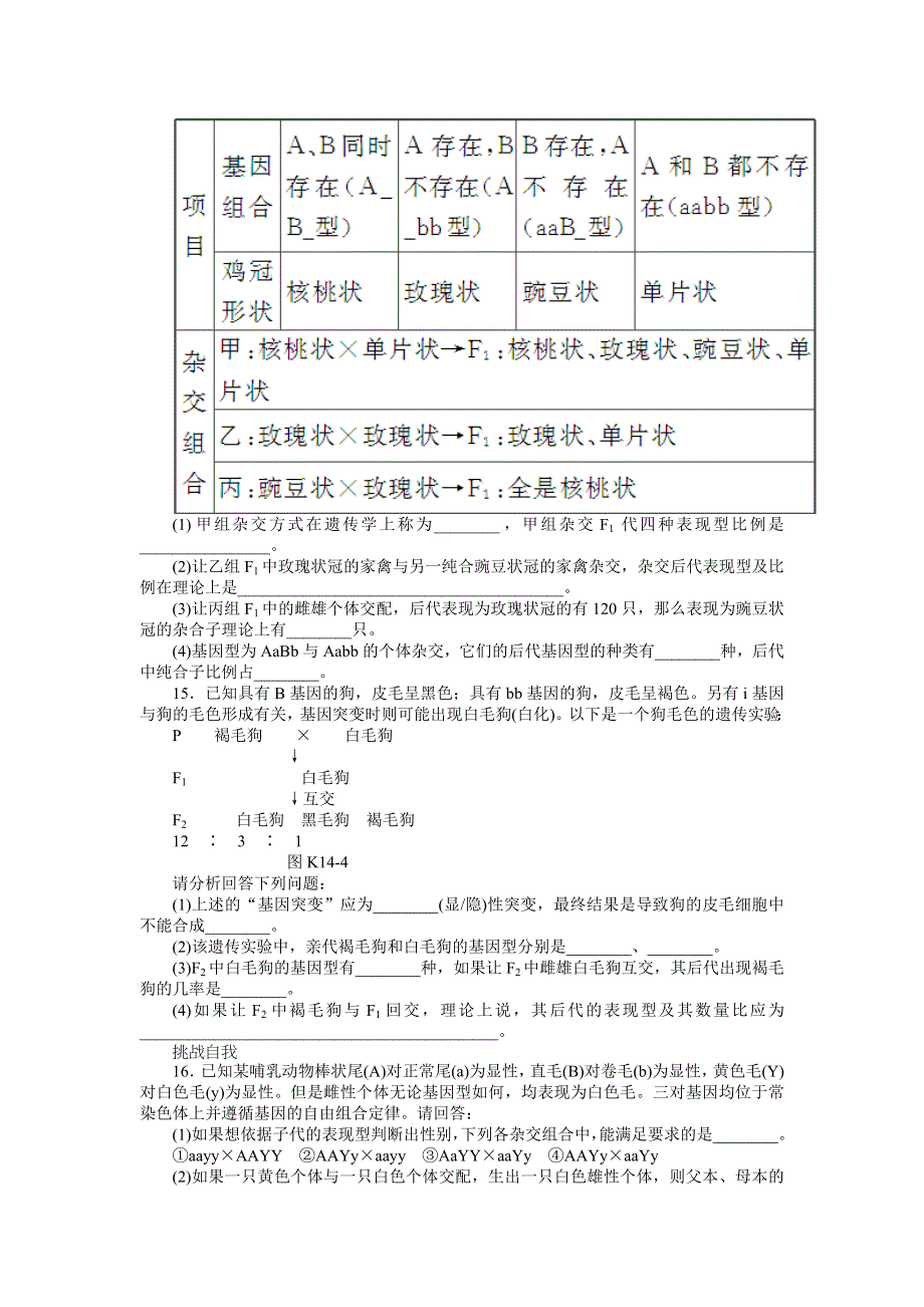 2013届高三浙科版生物一轮复习课时作业14 自由组合定律A.doc_第3页