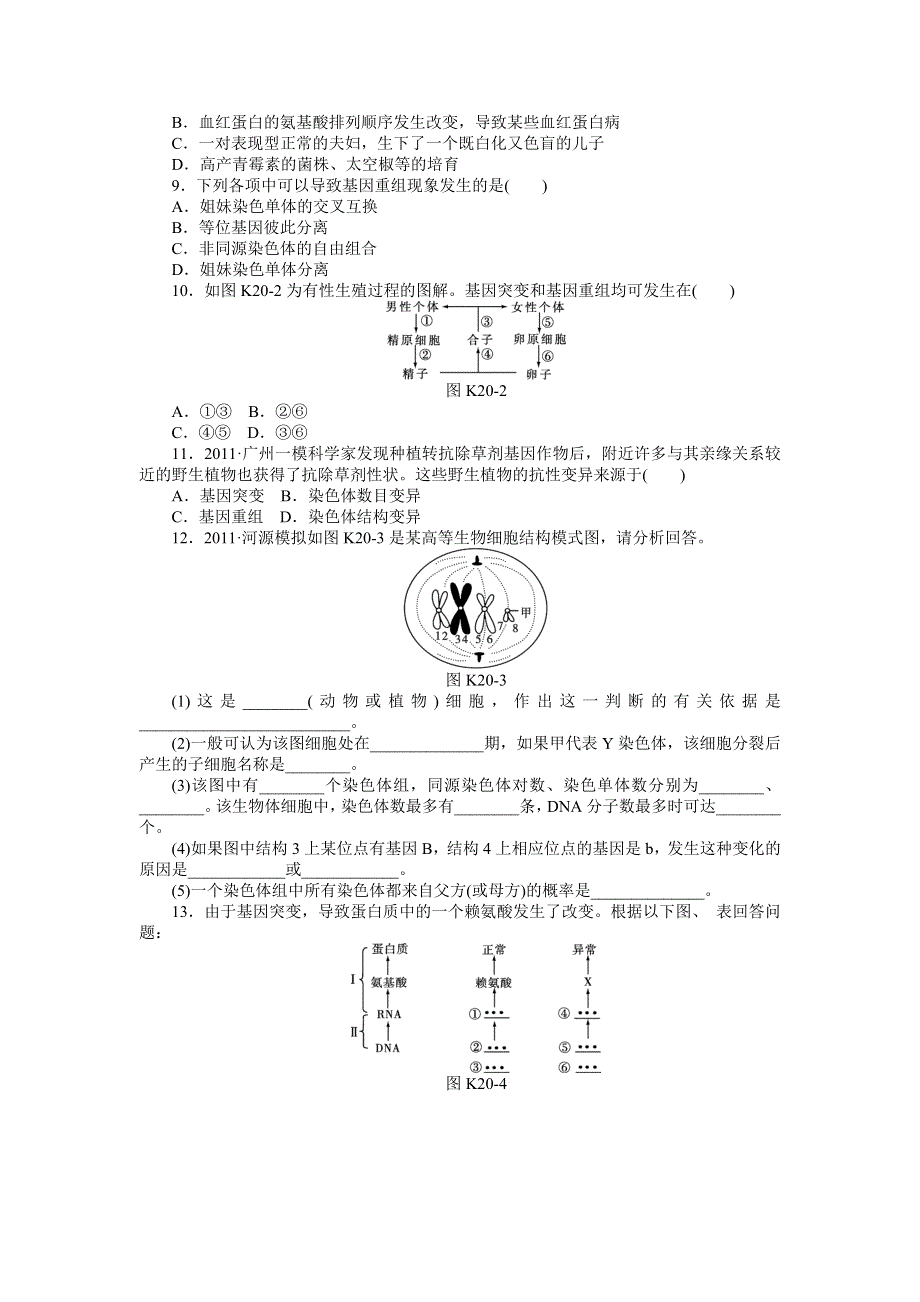 2013届高三浙科版生物一轮复习课时作业20 生物变异的来源1.doc_第2页