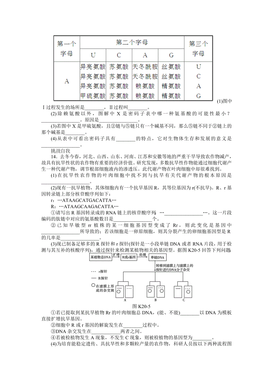 2013届高三浙科版生物一轮复习课时作业20 生物变异的来源1.doc_第3页