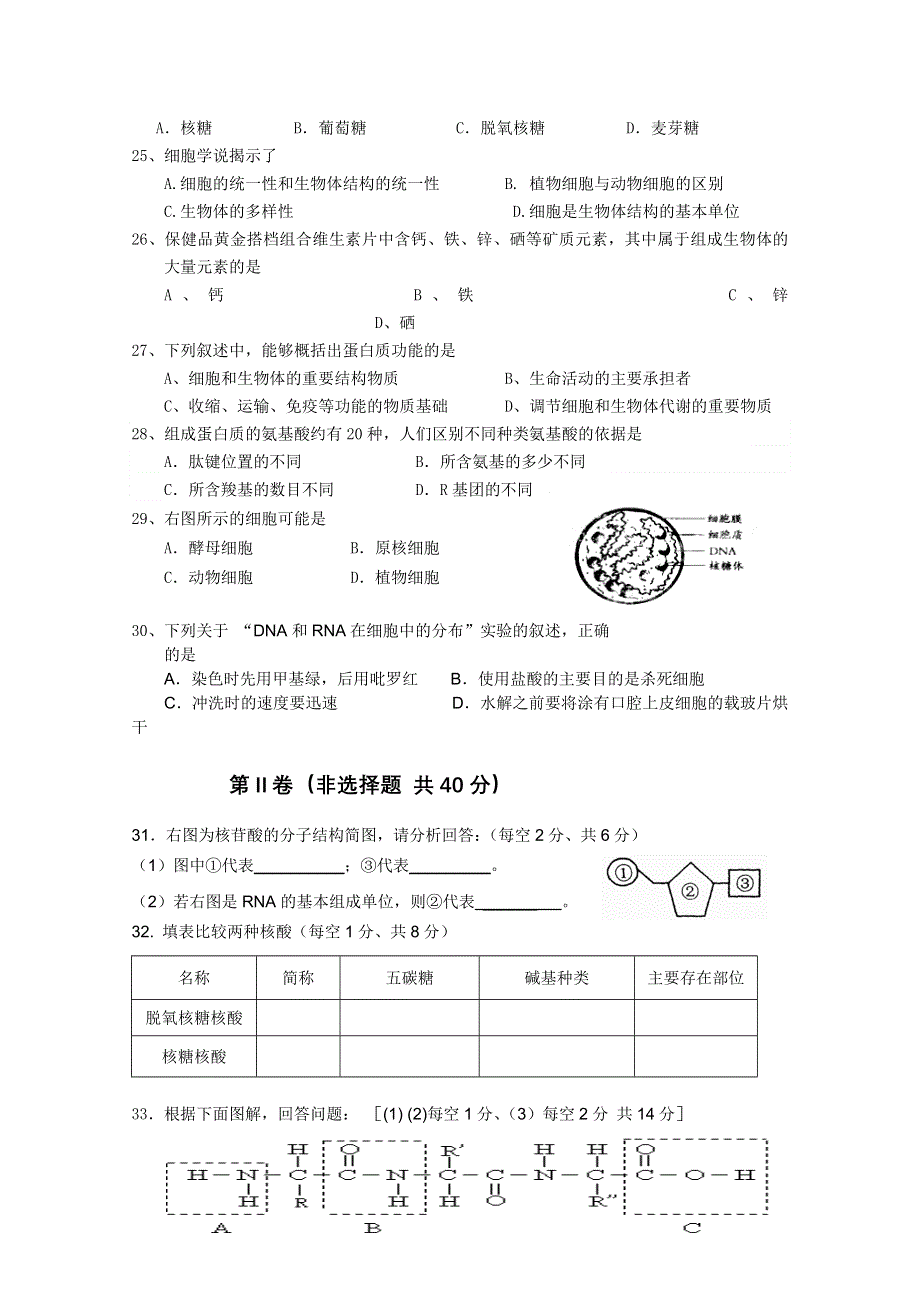 云南省蒙自县文澜高级中学2011-2012学年高一上学期期中考试（生物）.doc_第3页