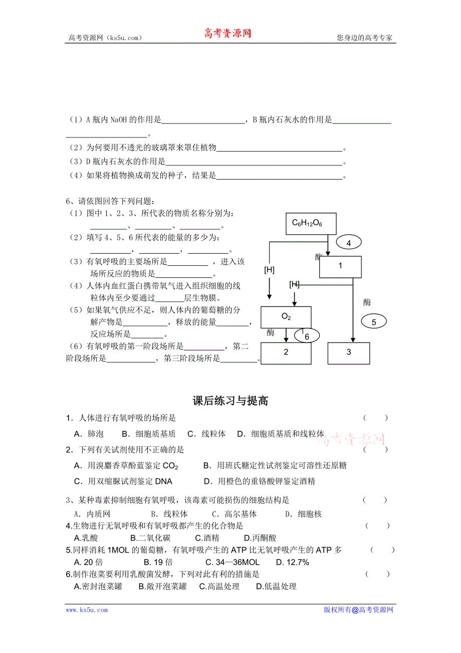 临清市生物必修一第五章第3节《ATP的主要来源——细胞呼吸（1）》导学案——崔玉凤.doc_第3页