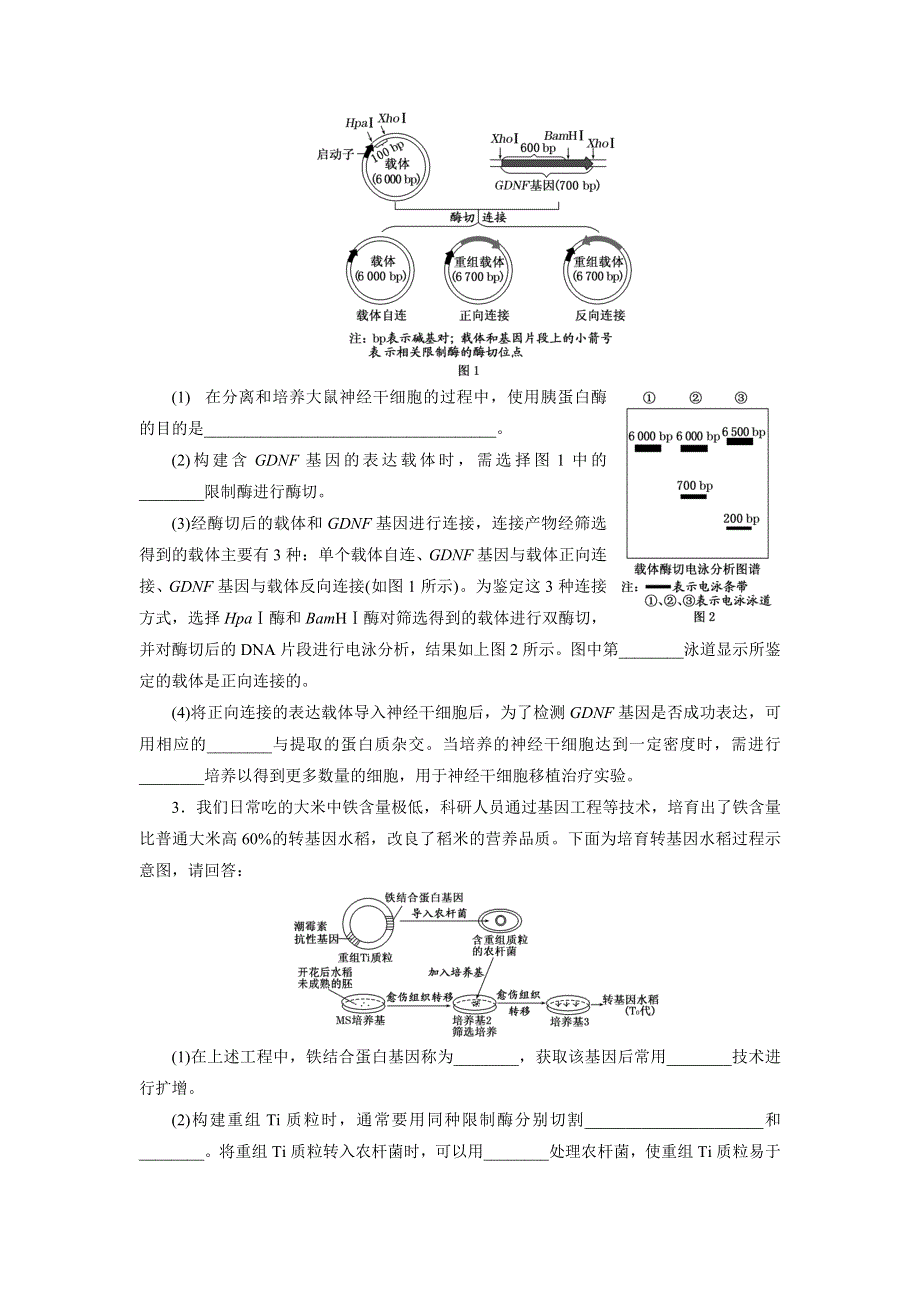 《三维设计》2016届高三生物二轮复习练习：专题六 生物科技系统 “基因工程与克隆技术”课前诊断卷 WORD版含答案.doc_第2页