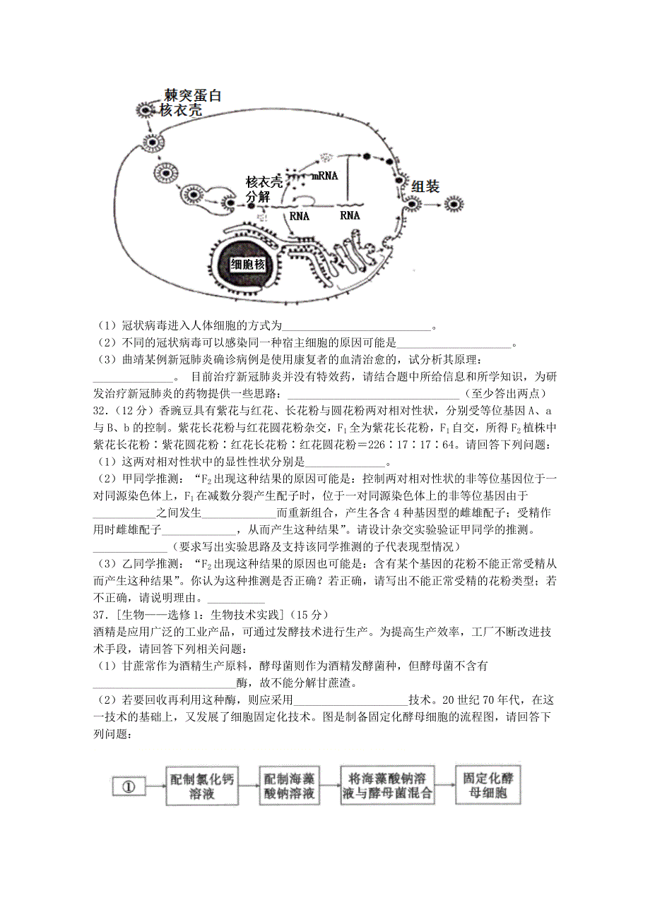 四川省宜宾市叙州区第二中学校2021届高三生物上学期开学考试试题.doc_第3页