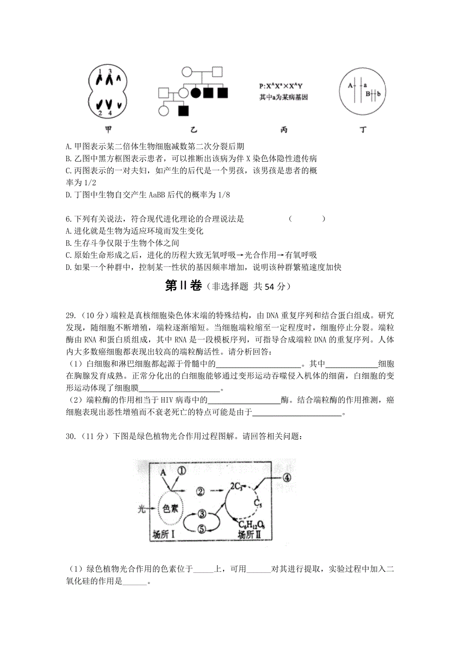 云南省西双版纳景洪市第四中学2013届高三复习模拟考试 生物试题.doc_第2页