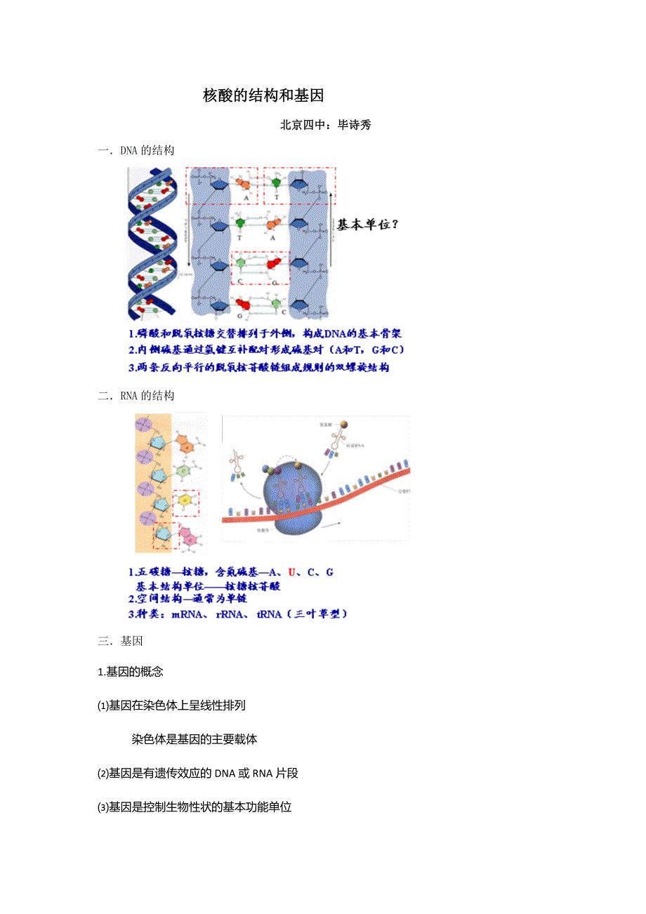 《名校推荐》北京市第四中学高考生物总复习例题讲解：核酸的结构和基因 .doc_第1页