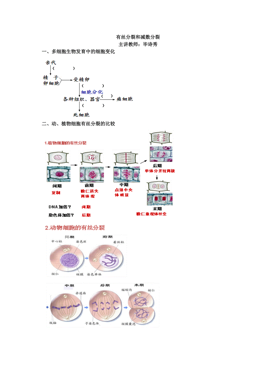 《名校推荐》北京市第四中学高考生物总复习学案：遗传与进化——遗传的细胞学基础 有丝分裂和减数分裂 .doc_第1页