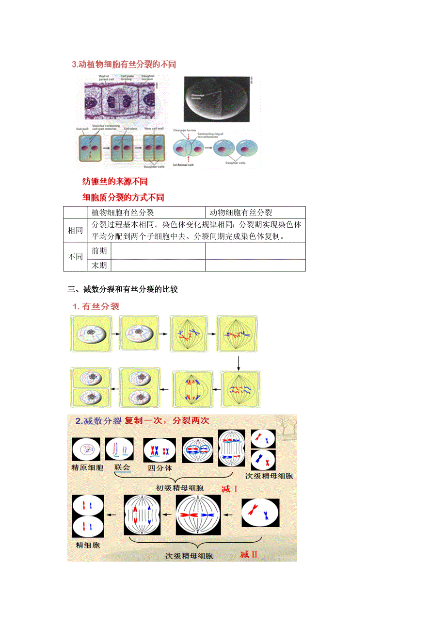 《名校推荐》北京市第四中学高考生物总复习学案：遗传与进化——遗传的细胞学基础 有丝分裂和减数分裂 .doc_第2页