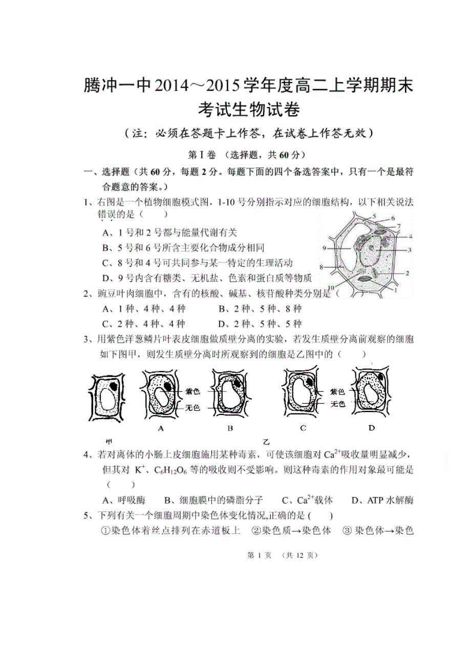 云南省腾冲县第一中学2014-2015学年高二上学期期末考试生物试题 扫描版无答案.doc_第1页