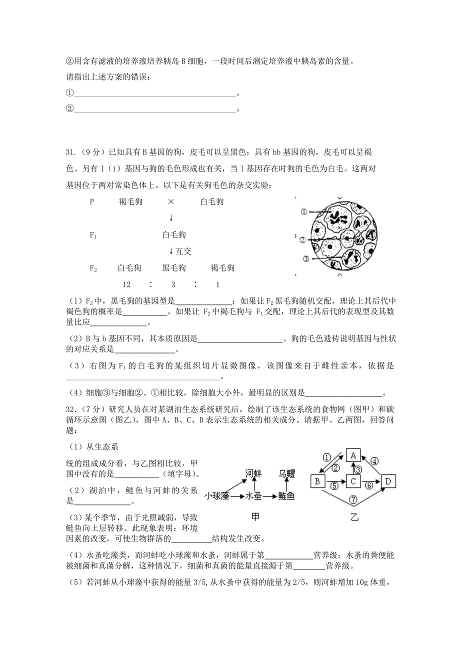 云南省腾冲县第八中学2015届高三高考仿真训练理科综合生物试题.doc_第3页