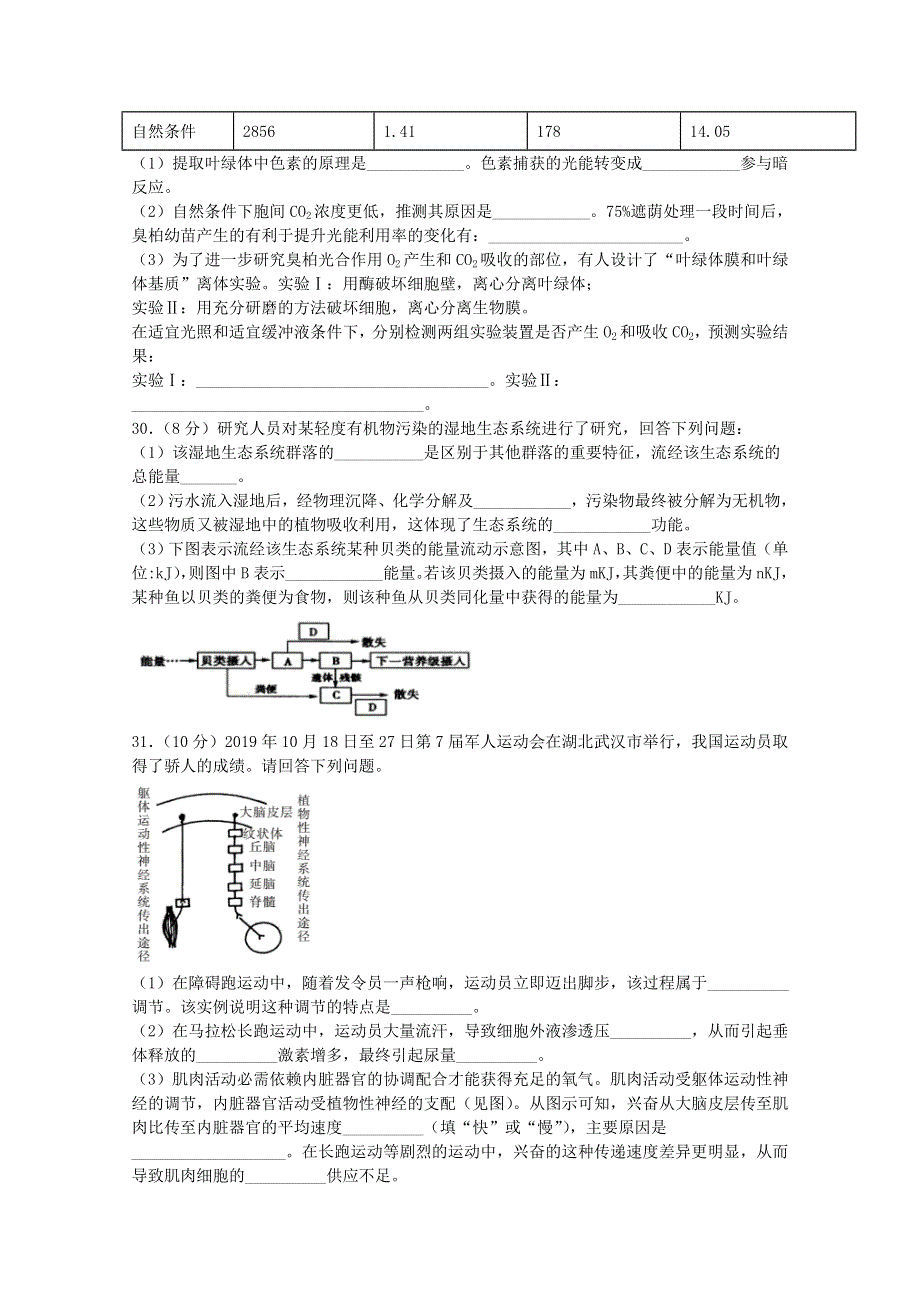 四川省宜宾市叙州区第一中学2020届高考生物第一次适应性考试试题.doc_第2页