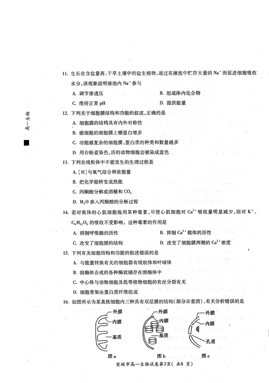 安徽省宣城市2019-2020学年高一上学期期末考试生物试卷 PDF版含答案.pdf_第3页