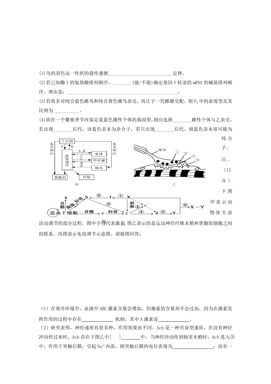 2013届高三理综生物必修部分二卷专项练习七.doc_第2页