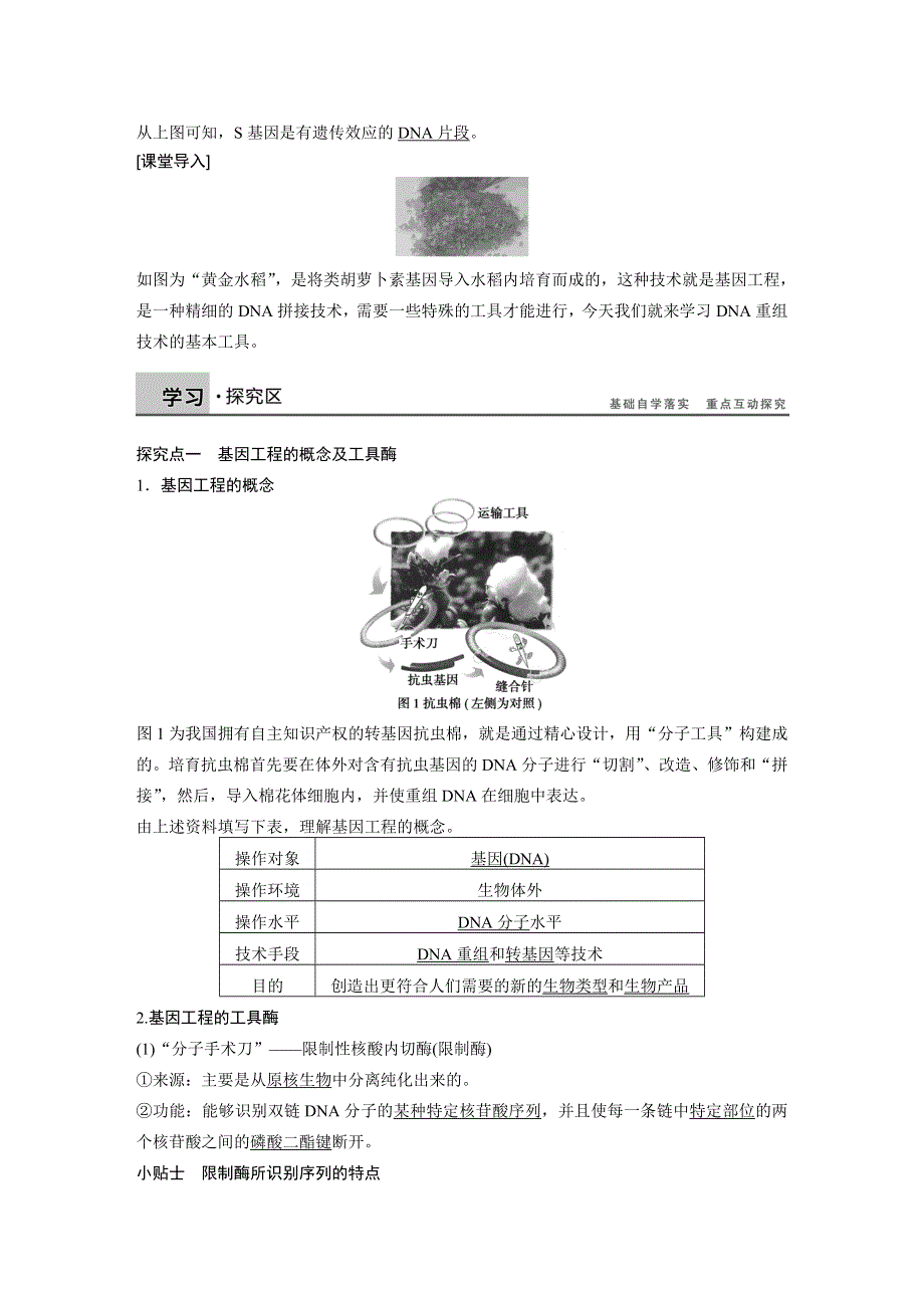 《创新设计》2015-2016学年高二生物人教版选修3学案与检测：专题1 第1课时 DNA重组技术的基本工具 WORD版含解析.docx_第2页