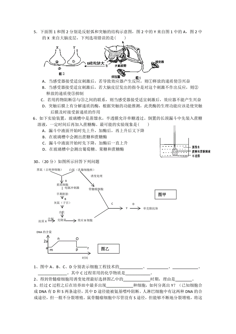 2011年高考生物训练卷（17）.doc_第2页