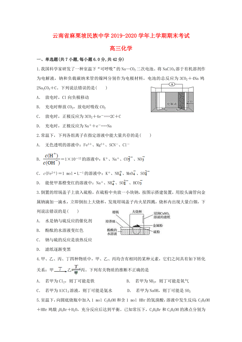 云南省麻栗坡民族中学2020届高三化学上学期期末考试试题.doc_第1页