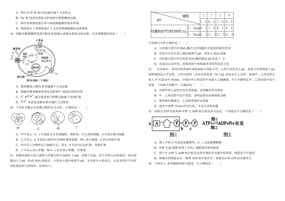 云南衡水实验中学西山学校2020-2021学年高一上学期期末考试生物试题 WORD版含答案.doc_第3页