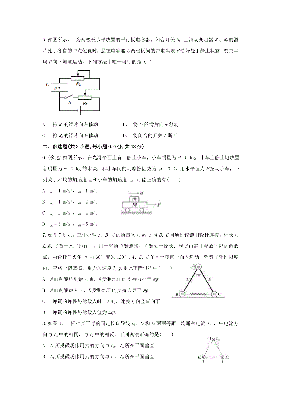 云南省麻栗坡民族中学2020届高三物理上学期期末考试试题.doc_第2页