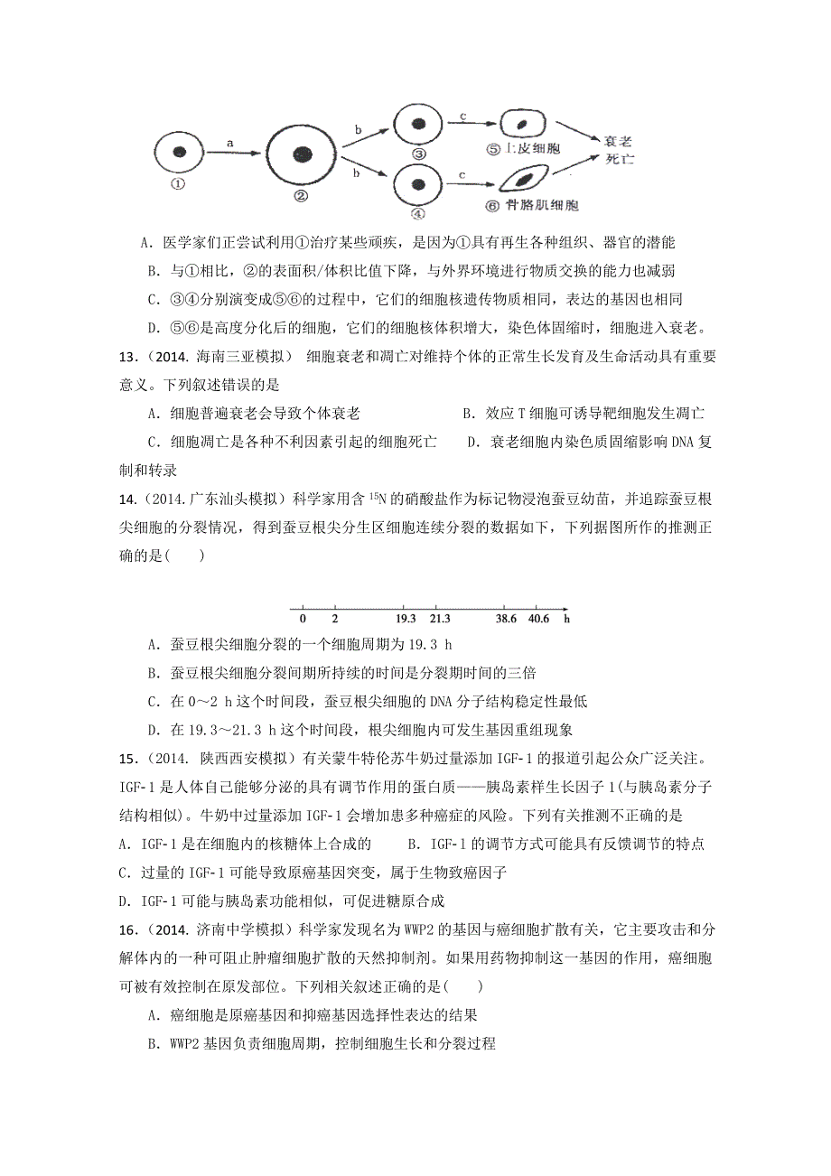 四川省宜宾第三中学2015届高三生物单元题练习 WORD版含答案.doc_第3页