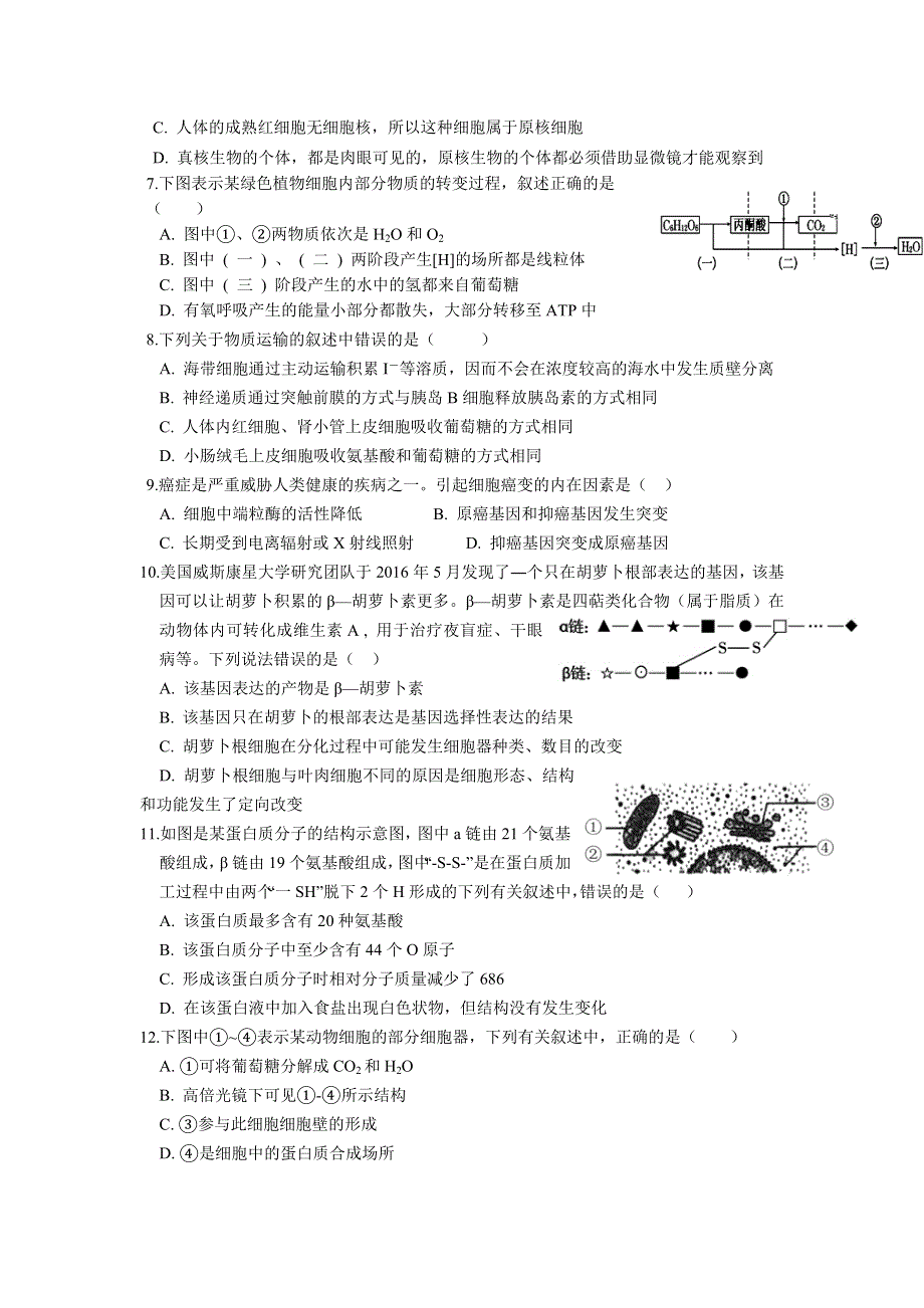 四川省宜宾第三中学2018-2019学年高二6月月考生物试题 WORD版缺答案.doc_第2页