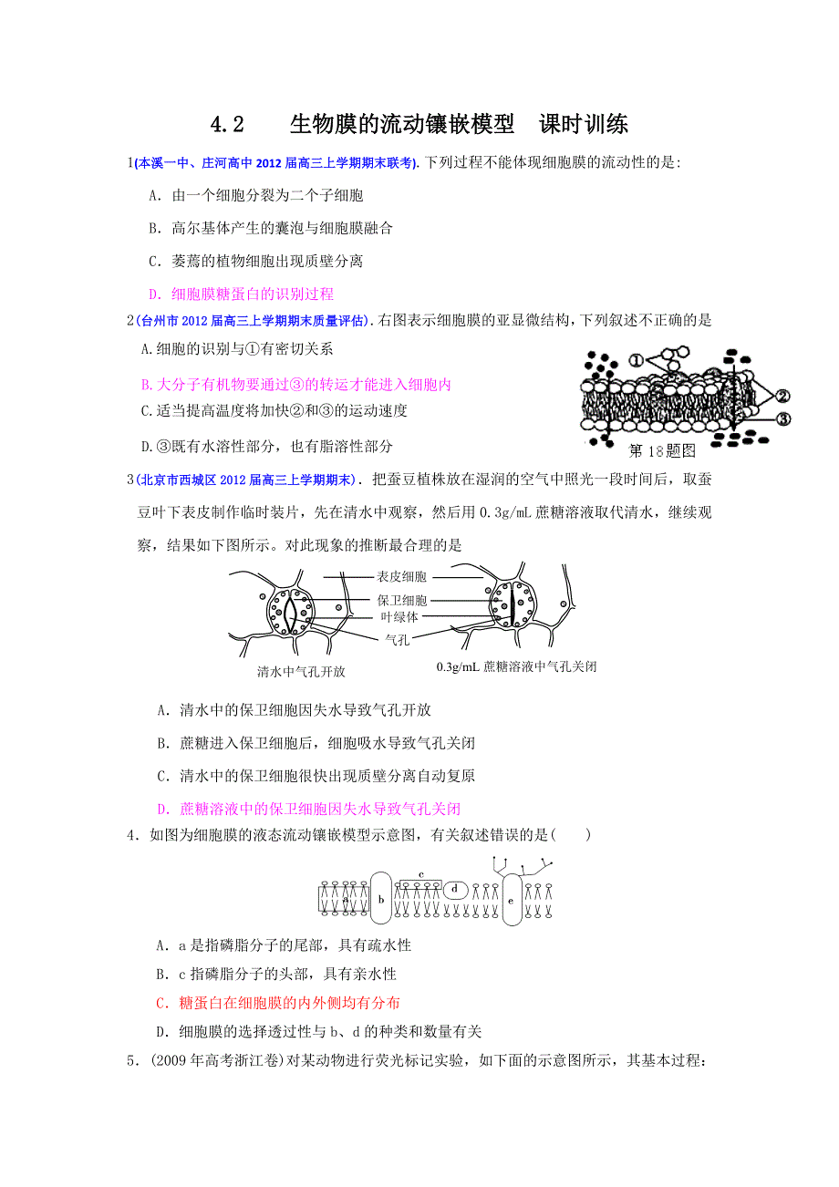 2013届高三生物一轮复习 课时训练 分子与细胞 4.2 生物膜的流动镶嵌模型.doc_第1页