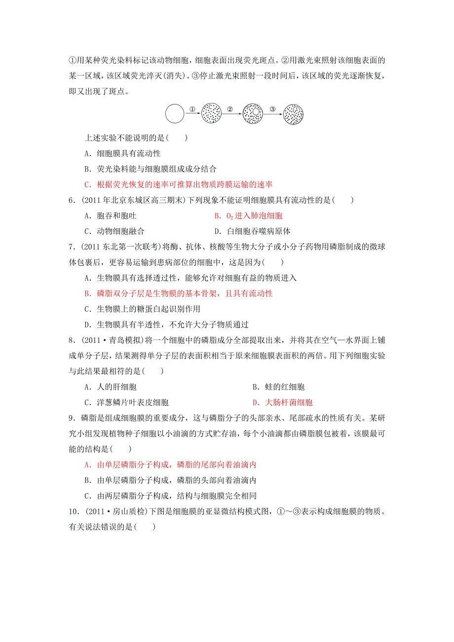 2013届高三生物一轮复习 课时训练 分子与细胞 4.2 生物膜的流动镶嵌模型.doc_第2页