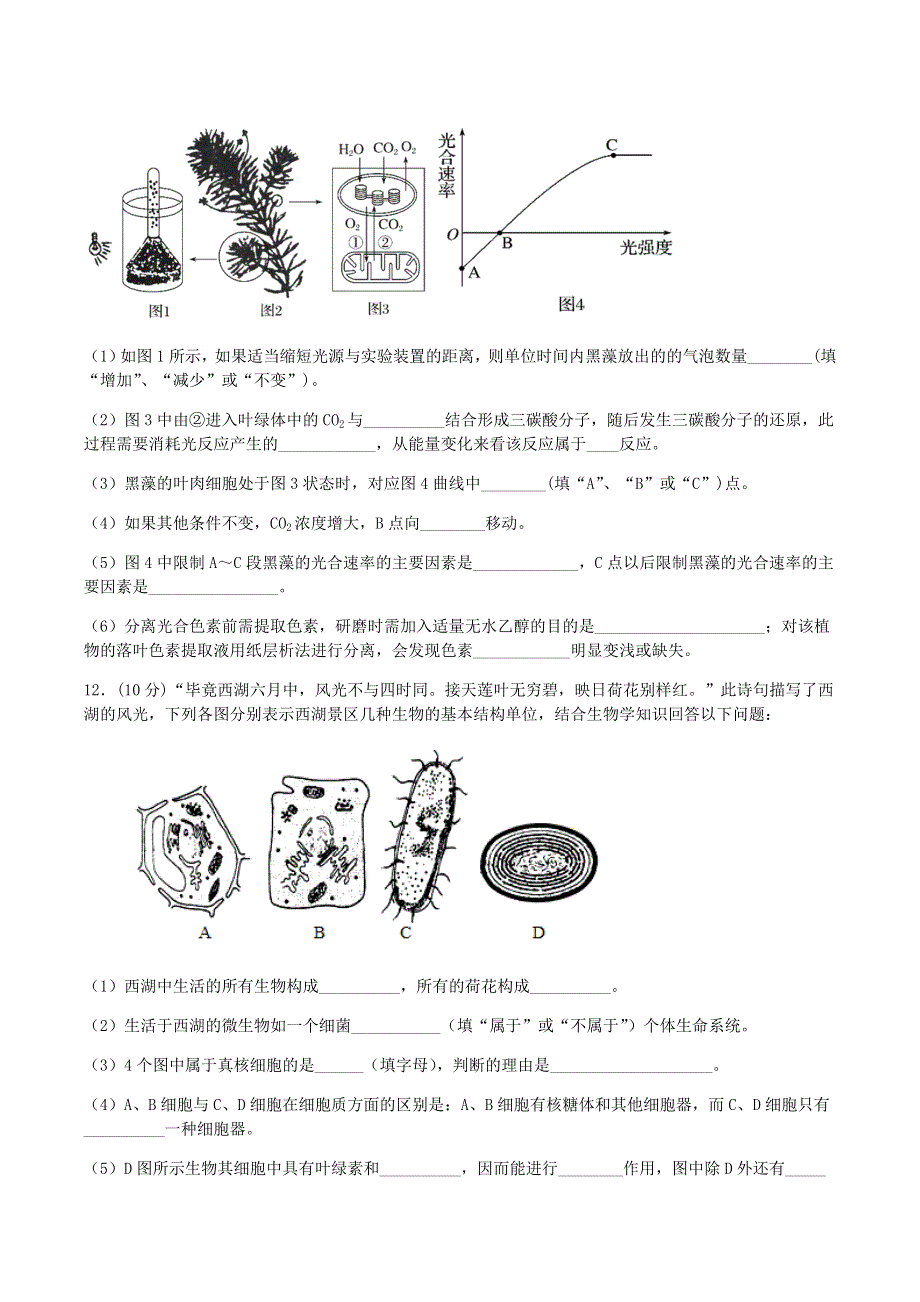 四川省宜宾市第四中学2019-2020学年高一生物下学期第四学月考试试题.doc_第3页