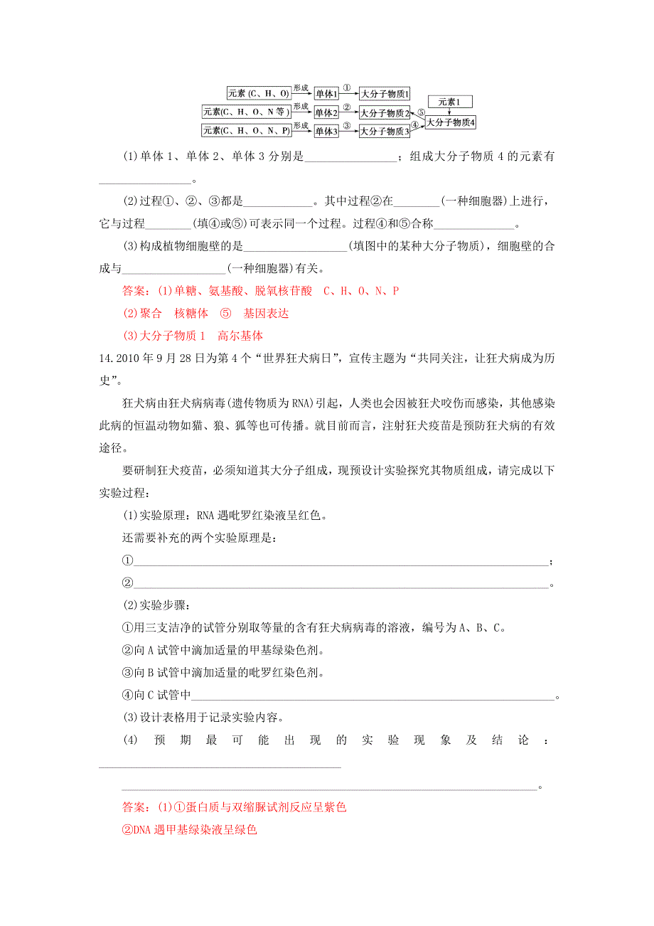 2013届高三生物一轮复习 课时训练 分子与细胞 2.3 遗传信息的携带者——核酸.doc_第3页