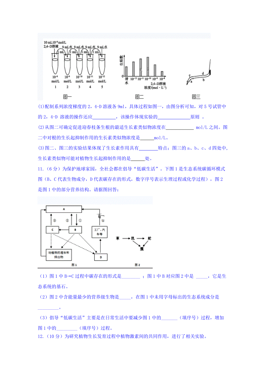 四川省宜宾市第四中学2019-2020学年高二上学期期末模拟考试生物试题 WORD版含答案.doc_第3页