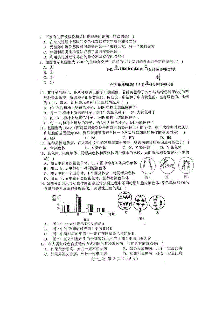 安徽省宿州市十三所省重点中学2019-2020学年高一下学期期末联考生物试题 图片版含答案.pdf_第2页