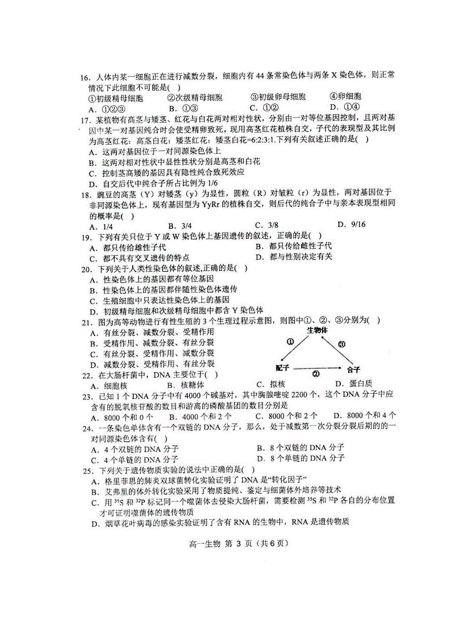 安徽省宿州市十三所省重点中学2019-2020学年高一下学期期末联考生物试题 图片版含答案.pdf_第3页