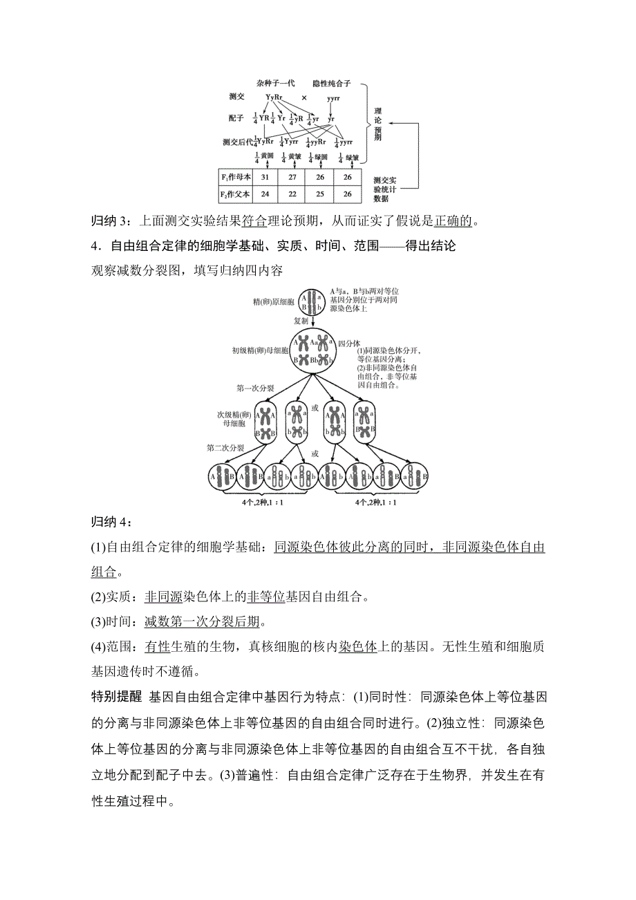 《创新设计》2015届高考生物（人教版）基础知识总复习： 考点1 两对相对性状的杂交实验及其解释验证(5年25考) 2-1-2 孟德尔的豌豆杂交实验（二） WORD版含答案.doc_第2页