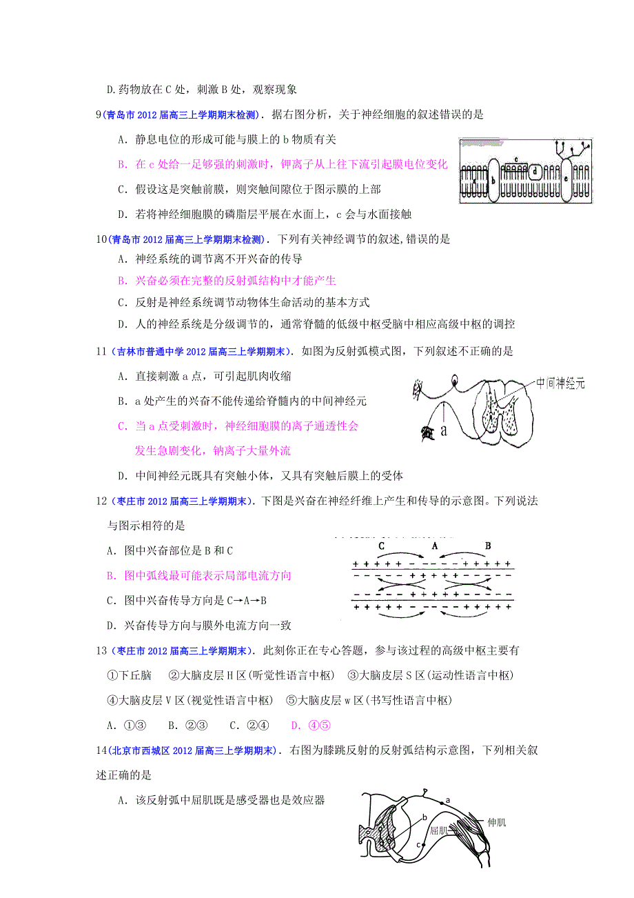 2013届高三生物一轮复习 课时训练 稳态与环境 2.1 通过神经系统的调节.doc_第3页