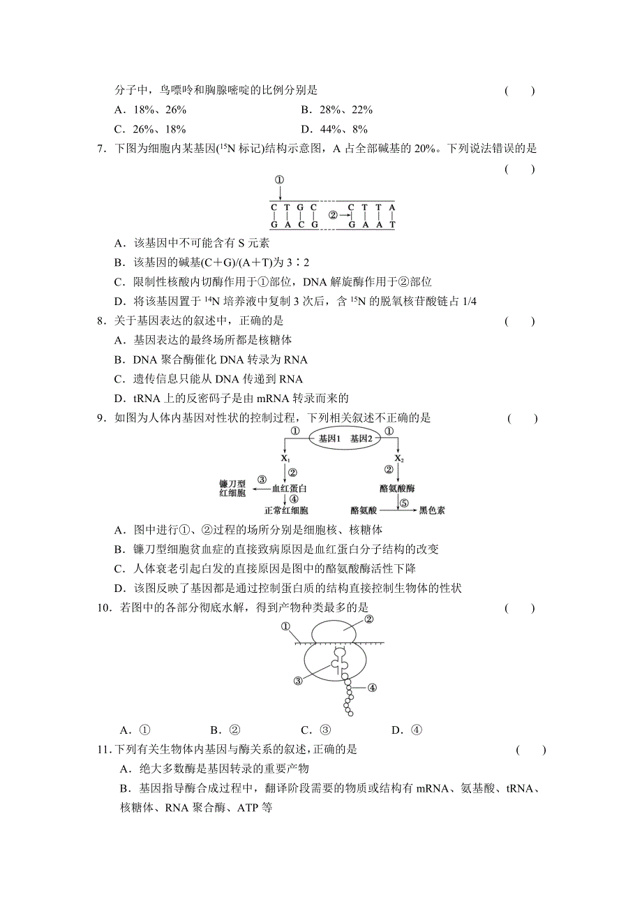 2013届高三生物二轮专题复习卷 专题4 遗传、变异和进化 第1讲 遗传的分子基础 WORD版含答案.doc_第2页