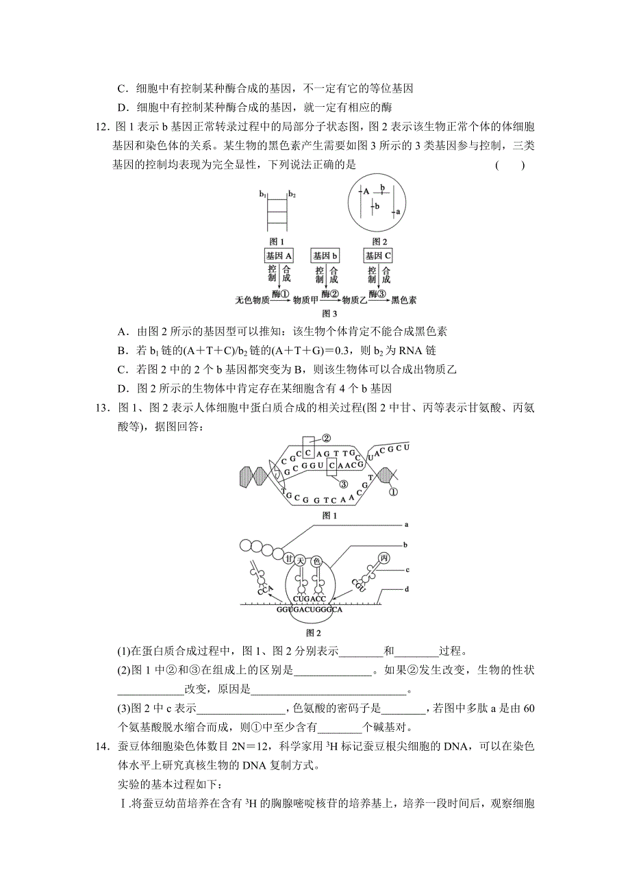 2013届高三生物二轮专题复习卷 专题4 遗传、变异和进化 第1讲 遗传的分子基础 WORD版含答案.doc_第3页