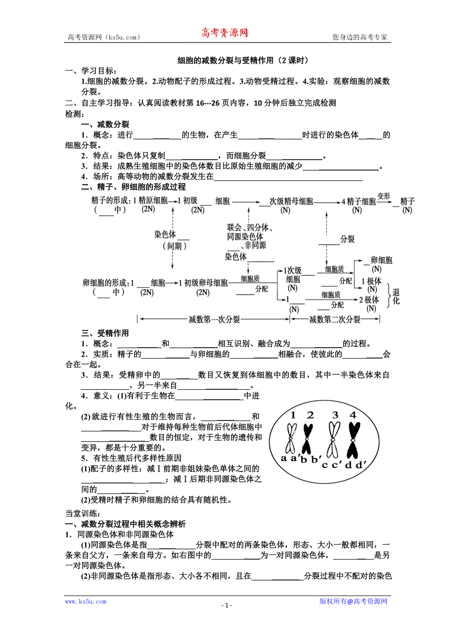 2013届高三生物一轮复习学案减数分裂和受精作用.doc_第1页