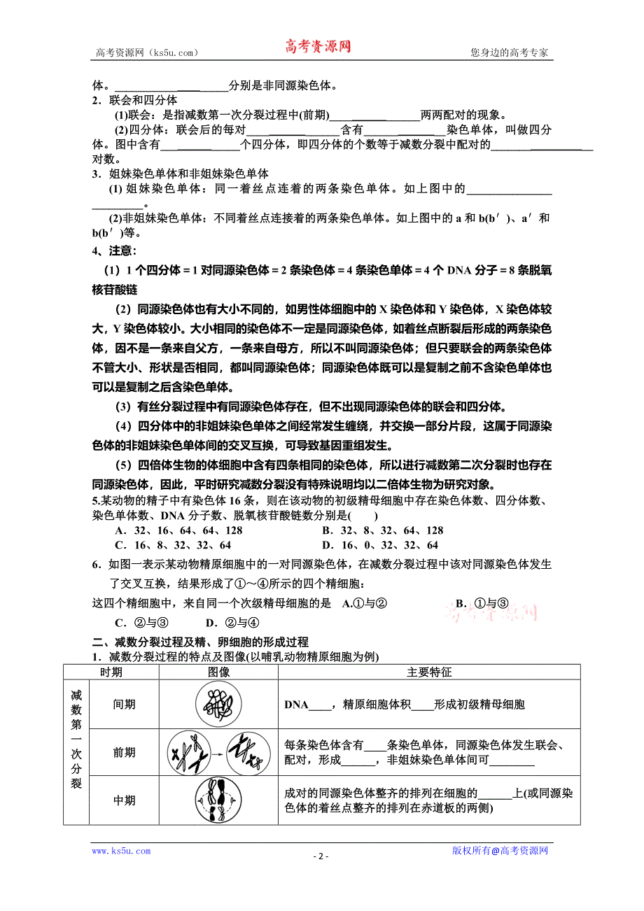 2013届高三生物一轮复习学案减数分裂和受精作用.doc_第2页