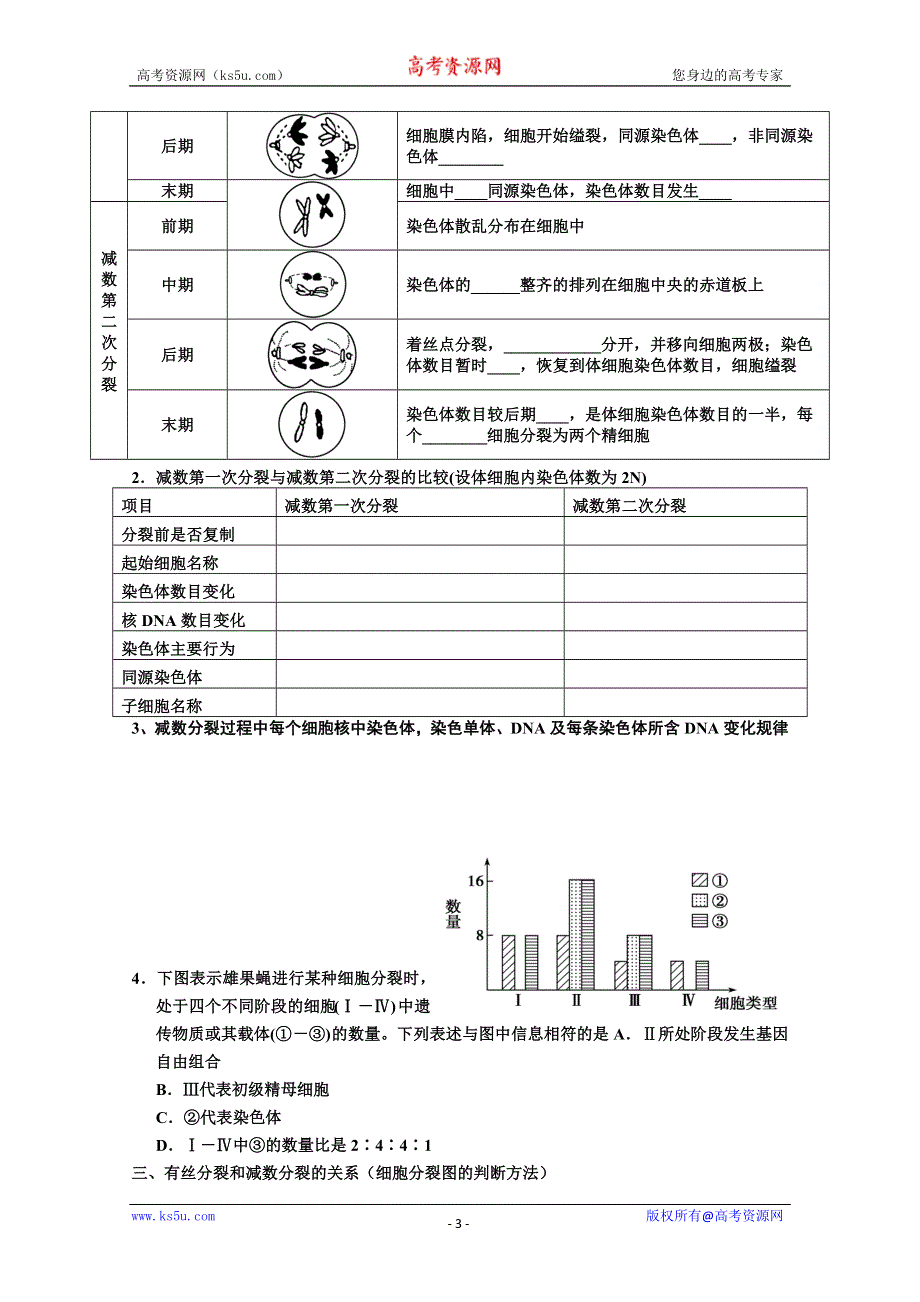 2013届高三生物一轮复习学案减数分裂和受精作用.doc_第3页