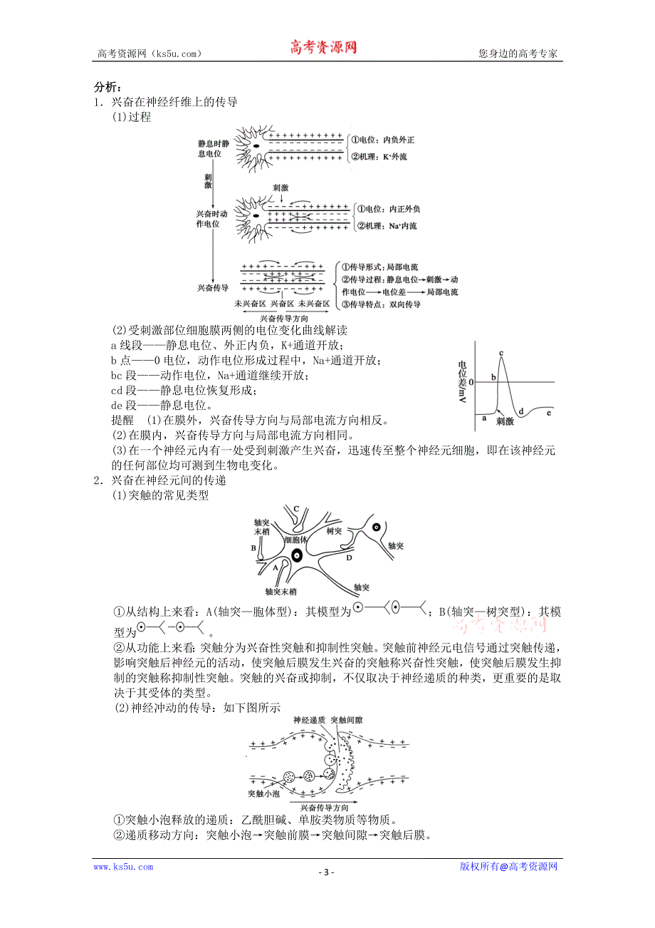 2013届高三生物学案通过神经系统的调节.doc_第3页