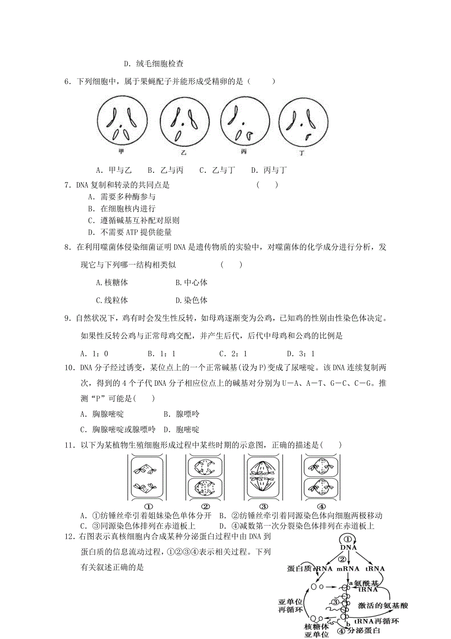 2013届高三生物必修二综合检测7.doc_第2页