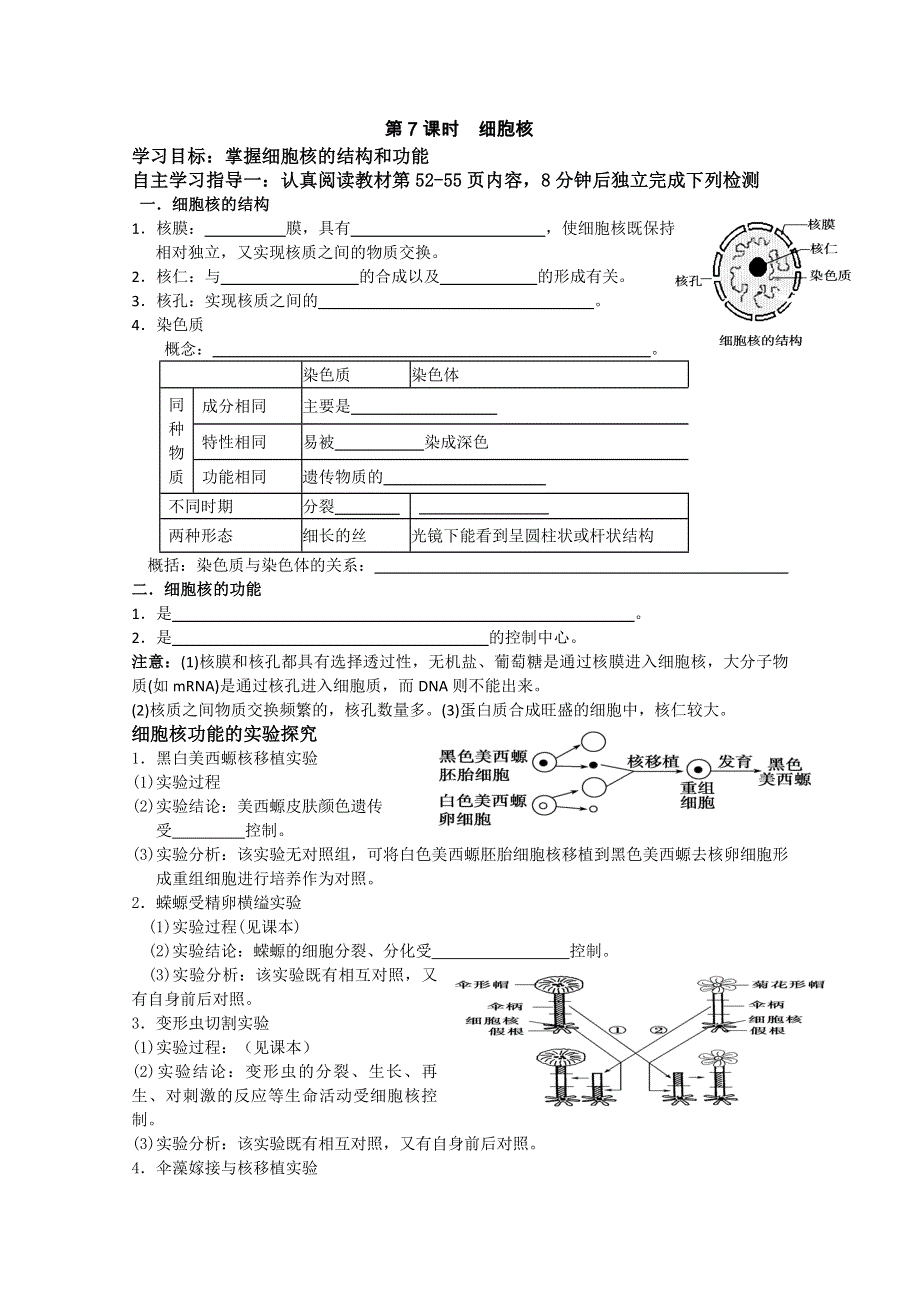 2013届高三生物学案、细胞核.doc_第1页