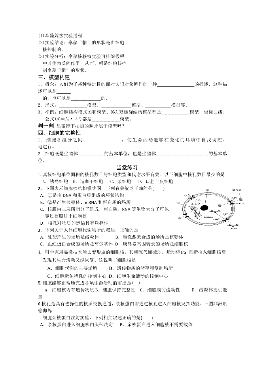 2013届高三生物学案、细胞核.doc_第2页