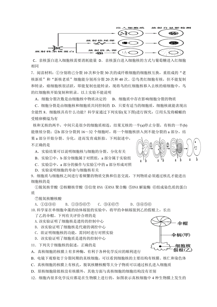 2013届高三生物学案、细胞核.doc_第3页