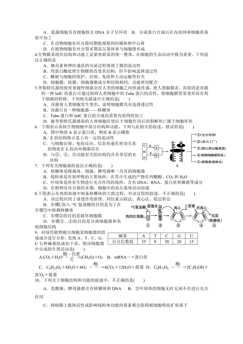 2013届高三生物学案、细胞器.doc_第3页