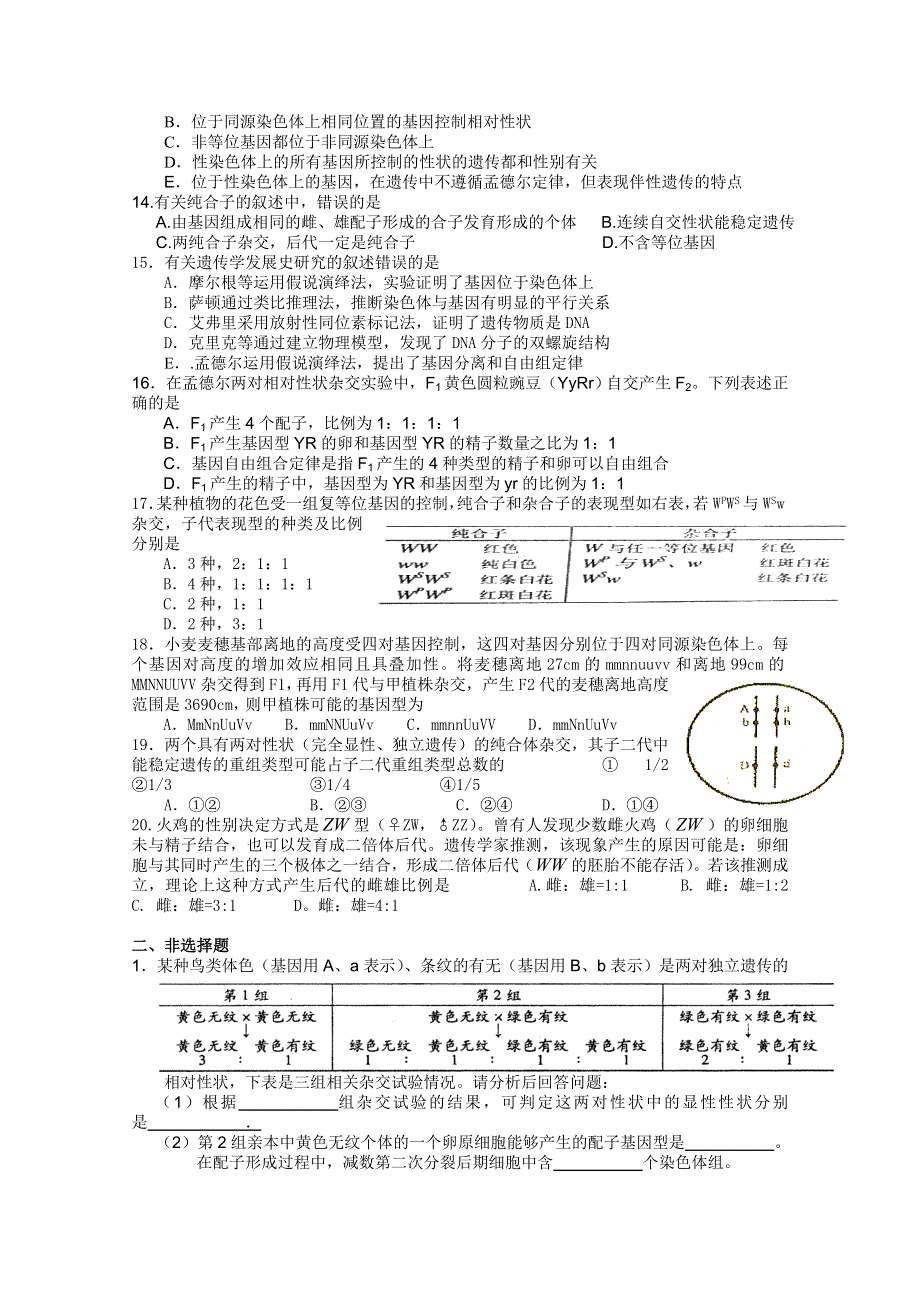 2013届高三生物测试题 遗传基本规律.doc_第2页