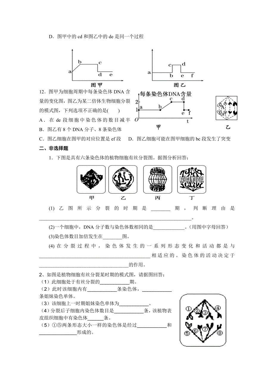 2013届高三生物测试题细胞增殖.doc_第3页