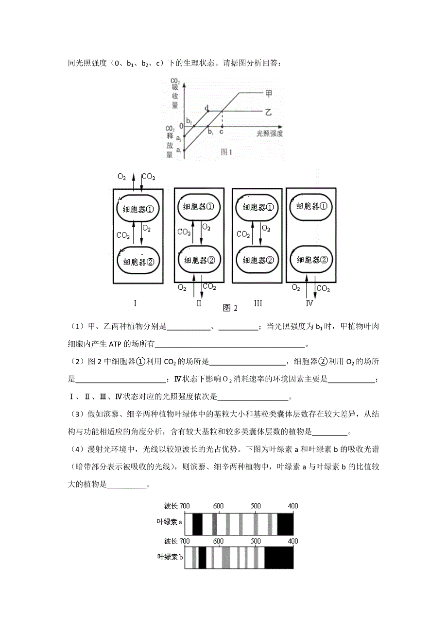 2013届高三生物试题大集合：光合作用（24）.doc_第2页