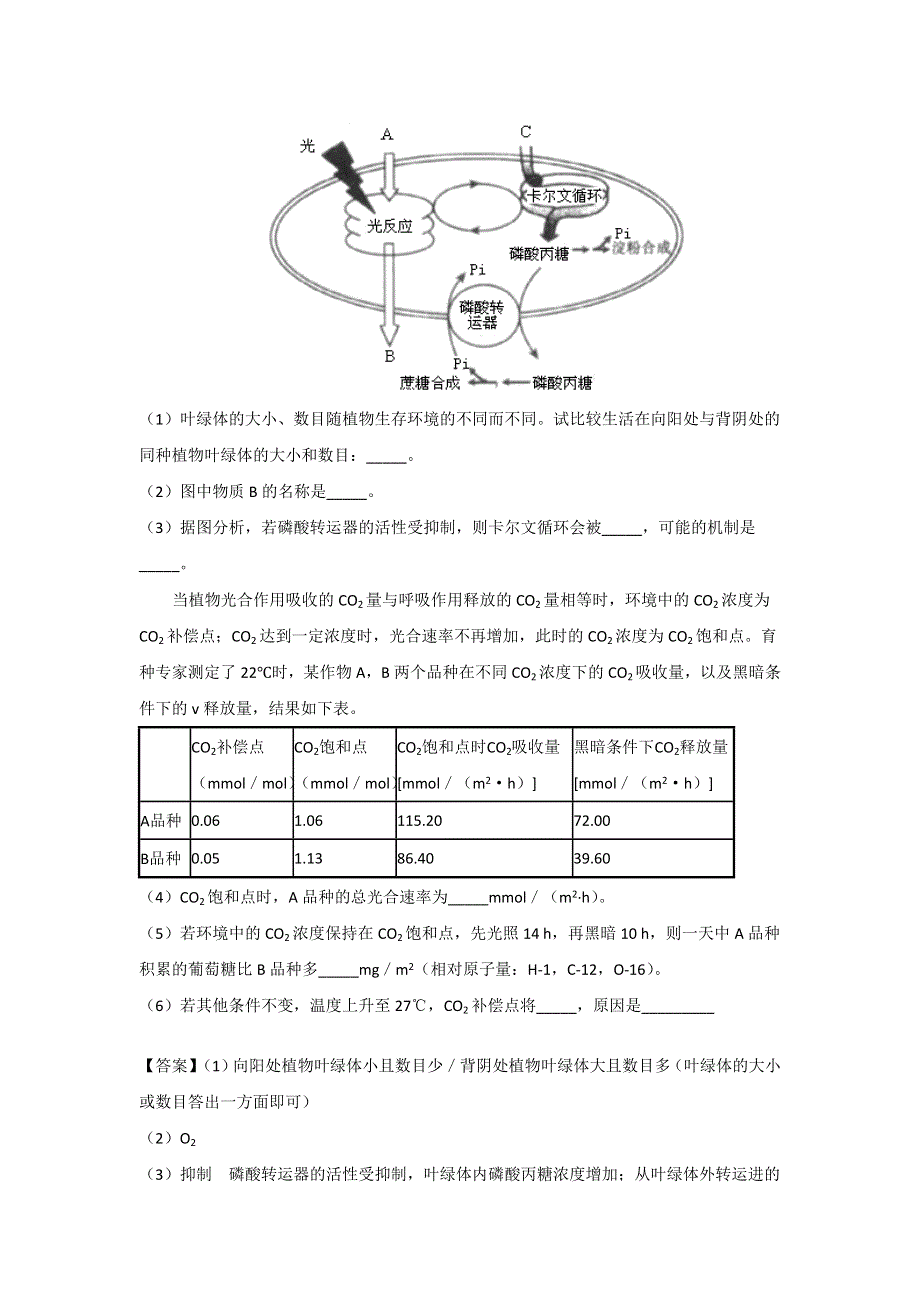 2013届高三生物试题大集合：光合作用（25）.doc_第3页