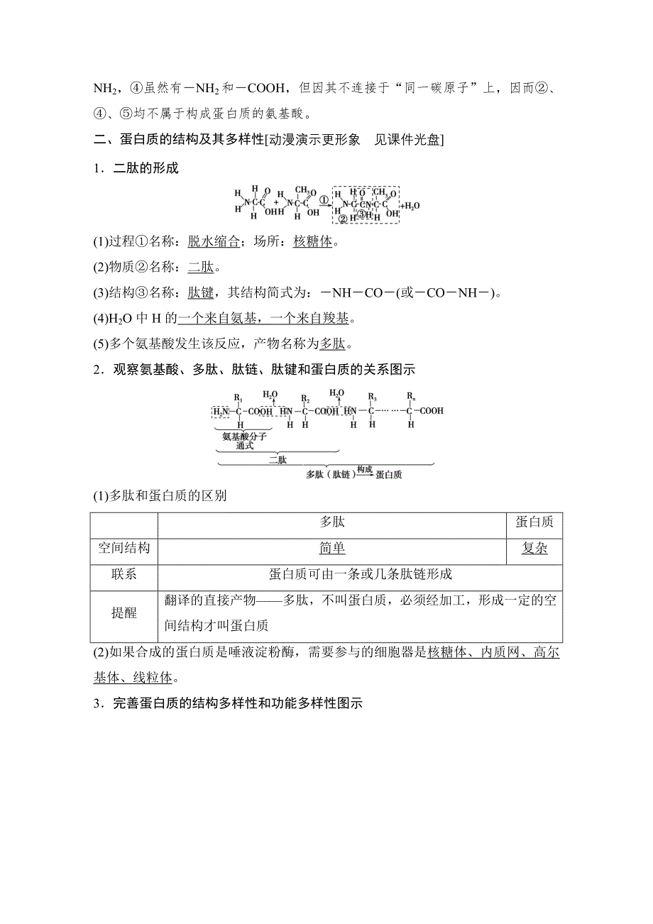 《创新设计》2015届高考生物（人教版）基础知识总复习：1-1-3 生命活动的主要承担者——蛋白质 考点1 蛋白质的结构和功能及其多样性(5年18考) WORD版含答案.doc_第2页