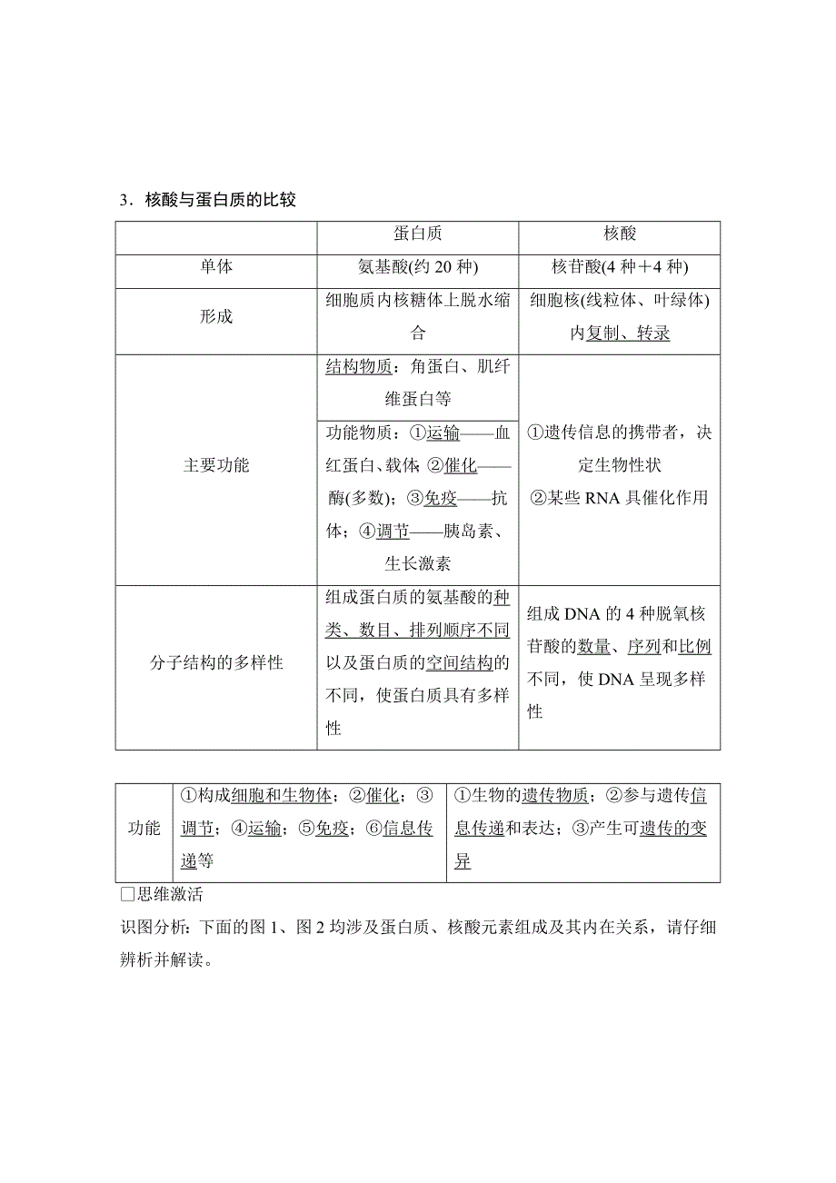 《创新设计》2015届高考生物（人教版）基础知识总复习：1-1-4 遗传信息的携带者——核酸 细胞中的糖类和脂质 考点1 核酸的结构和功能及与蛋白质的关系(5年10考) WORD版含答案.doc_第2页